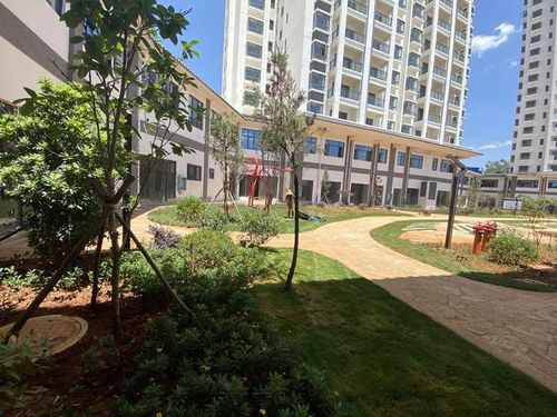 全款17萬起，云南5A級景區旅居房產帶回家